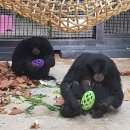 서울대공원 이미지