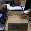 잘짓는약국 네이버블로그