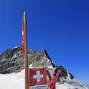 올리브편한 약국 이미지