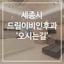 세종드림 네이버블로그