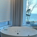 스테이도유 이미지