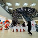 카앤가이 이미지