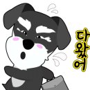 도그리니 이미지
