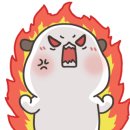 슈퍼덴트칼라 이미지