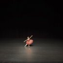 베드로목장2 Daum카페