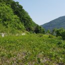 무주읍253 이미지