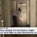 사비로 이미지