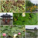 카랜드모터스 이미지