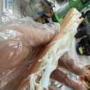 세종수산 이미지