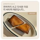 온천천카페거리(설빙 옆) | 온천천 카페거리 홀스앤타이거 버터떡 후기 연차 쓰고 간 이유