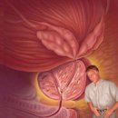 메디포맨비뇨기과의원 이미지