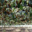 진환농장 이미지