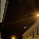 미겔리또 이미지