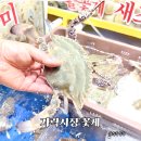 가락시장 시세 꽃게 포장 해온 영흥수산 리얼 방문 후기