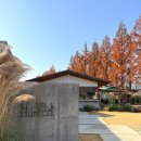 순창 메타세콰이어길 | 전남 담양 카페 / 메타세콰이어길 옆 ‘ 소예르 ’ 솔직후기 , 모든게 완벽했다