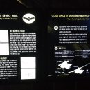 고씨굴 이미지