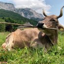 학계농장 이미지