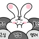 골드 휴 이미지