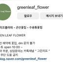 그린리프 이미지