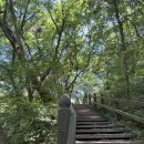 강당골 | 충청남도 아산 강당골 계곡 후기 (주차,수심,물놀이,준비물리스트)