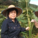 상순농장 이미지