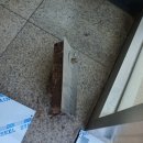 대구문수리 이미지