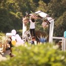 마루와아라 이미지