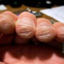 박종호 클래식 기타콘서트 ''고목에 피는 꽃'' 이미지