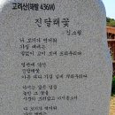 진달래공인중개사사무소 이미지