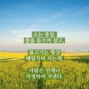 6월15.16일 장흥정남진cc 이미지