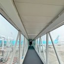 483 | 대한항공 푸꾸옥행 KE483 / A330-300 61a, 61b 좌석 후기 :)