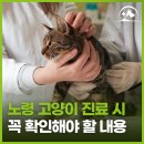 해오름 동물병원 이미지
