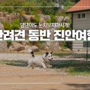 피씨카페티 이미지