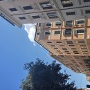 제일민박 | [로마 한인민박] 로마 블루밍하우스 여자 혼자 리얼 내돈내산 후기