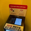 꽈베기 명가 | 11월 부산 여행기