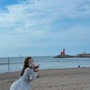 로즈마리 149 이미지