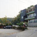 송이향 이미지