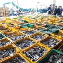 대양수산 이미지