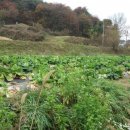 오수보건지소 이미지