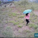 화정만두 | 고양 화정 원당 수제만두 전골 본만두