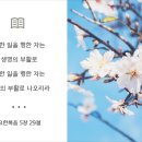 안식축사 이미지