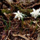 천마산식당 이미지