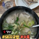 밀양국밥식당 | 밀양 동부식육식당 솔직 후기 - 수요미식회 돼지국밥 수육백반 밀양맛집추천