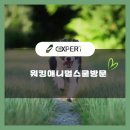 워킹애니멀스쿨 이미지