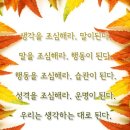 세종카메라 이미지