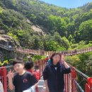 수승대관광지 오토캠핑장 이미지