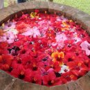 헤라(HERA) 이미지