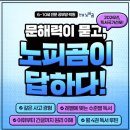 시립 해솔마을6단지어린이집 | [노피곰해솔2단지교실] 오픈, 노피곰고양파주소식