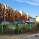 임팩트골프아카데미 이미지