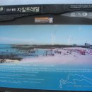 김녕성세기해변 Daum카페